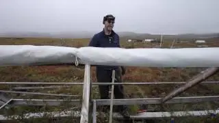 Deep Roots Project: The Role of Nitrogen