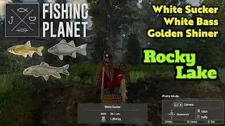 White Sucker, White Bass, Golden Shiner Rocky Lake - Fishing Planet