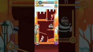 Home Pin Game Hard Level 27