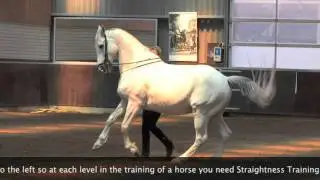 Straightness Training in the Pirouette in Hand