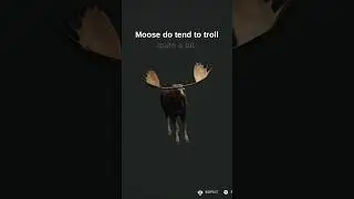 Moose Trolls Are SO MEAN!!! 😭💔🫎 #shorts