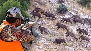 НАСЕЛЕНИЕ ДИКИХ КАБАНОВ: Захватывающие погони охотников за дикими кабанами.