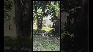 SAM higginbottom university College garden is an amazing place.#viralvideo #viralshorts #subscribers