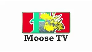 Moose Minute Getting Personal