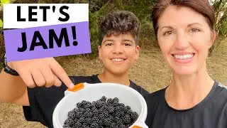 How to Identify WILD BLACKBERRIES & How to Make BLACKBERRY JAM