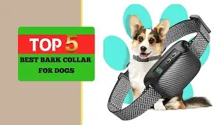 Best Bark Collar for Dogs: Top Picks to Stop Excessive Barking