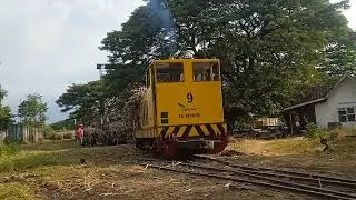 berburu momen lokomotif nomor 9 Keio Yashima pabrik gula Panji Situbondo