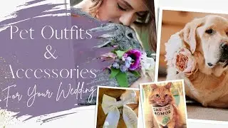 Wedding Outfits for Pets | Pet Outfits and Accessories