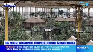 La plus grande serre tropicale du monde est &agrave; Pairi Daiza