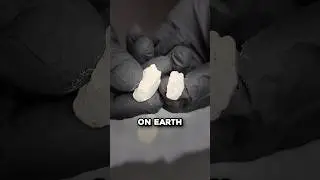 Почему рвота китов стоит МИЛЛИОНЫ 🤯