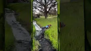 Amputee Dog Daily Life