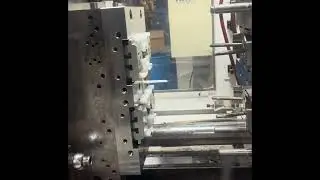 Rapid Mold Sampling