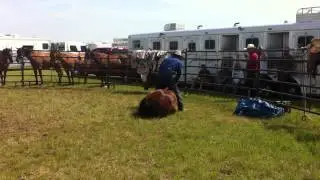 Aussie Update 4/7/2012