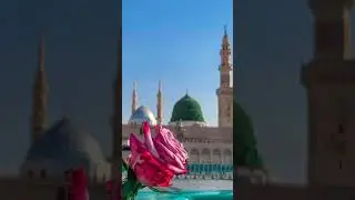 subhanallah #love #ytshorts #shorts