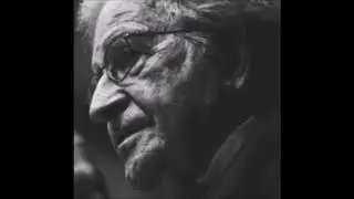 Noam Chomsky - Intelligible Concepts vs. Intelligible Theories