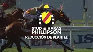 Haras Phillipson - 04/12/2025