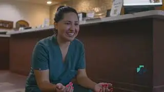 Holiday Message From Town & Country Animal Hospital | Caring for Your Pets This Season