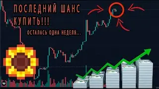 SFL token(Sunflower Land), последний шанс купить!!! Иксы неизбежны!!!