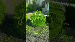 Powerful Hedge Trimmer in Action! 🌿 Best Tool for GARDEN Care #Shorts