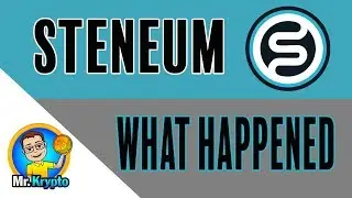 Steneum I What Happened?
