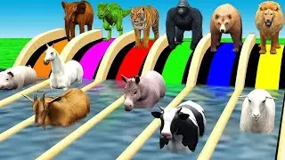Wild Animals Choose the Right Key with Cow Elephant Gorilla Dinosaur Tiger Animal Game