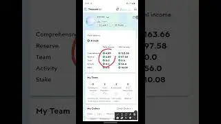Treasure NFT Daily Income #Treasure nft