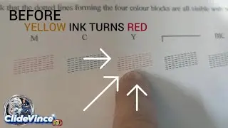 Brother Printer DCP T310 Printing Problem / yellow ink turns red Problem solve
