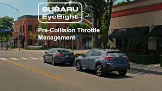 Pre Collision Throttle Management