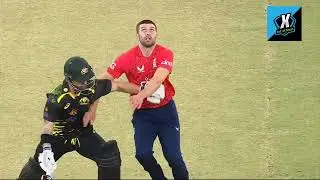 Mathew wade cheating in match , stopped mark wood from taking catch 😱😱😱
