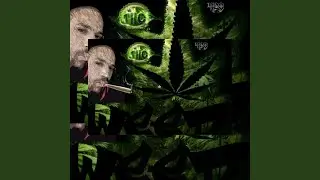 Weed & Cocaine