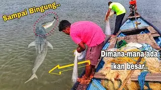 Traditional Hand Best Net Fishing 9k Sea -Village | Smart Boy Catching Video Net... 