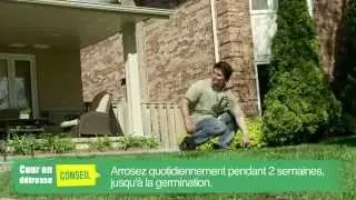 Cour en d&eacute;tresse &Eacute;pisode 3 : Sursemis