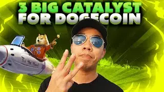 3 крупнейших катализатора, которые помогут Dogecoin вырасти в 10 раз! Вот почему Dogecoin взлетит до небес. 🚀🌕