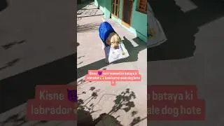 2026 m meri dunia khatam🐶#dog#animals#comedy#puppy#funny#hilarious#viral#reels#shorts#doglife#tiktok