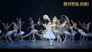 ゲネプロ映像到着！【熊川哲也 K-BALLET TOKYO Summer Tour 2025『K-BALLET TOKYO 25th ANNIVERSARY GALA』】