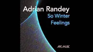 Adrian Randey  - So Winter Feelings