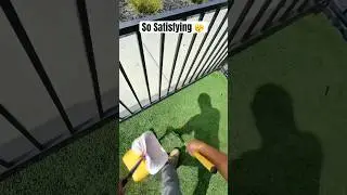 Dog Poop Clean Up! #cleaning #cleanup #dogpoop #poop #pooperscooper #poopscoop #yardcleanup