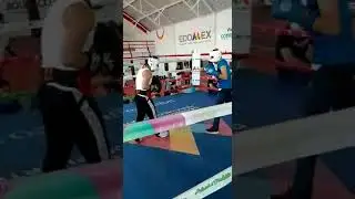 Julio Cesar 