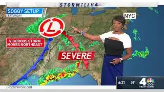 Janice Huff Mardi Gras T Shirt styled dress 202104 09 (TqRD)