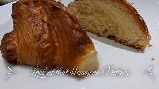 Le Flamington, Salunkhe Vihar (Pune) - A videologue