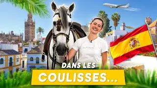 JE D&Eacute;COUVRE LE CHEVAL ESPAGNOL : visite de la Real Escuela Andaluza 🇪🇸