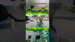 CAT CHALLENGE 🐱 #shorts #cat #pets #cats #memes #humor