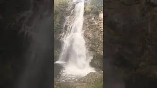Quelle belle cascade naturelle 🌲🍂🍁🤠