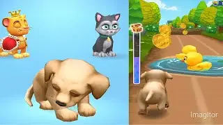 mini dog & pet games | pet running mobile game | dog race game for kids | cat & pet | pet run live