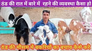 ठंड के मौसम में बकरी का बचाव कैसे करे #apna bihar goat farm