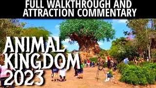 Animal Kingdom - Exploring Set Design and Creative Details