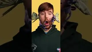 👉 MrBeast Crazy Spider Challenge 🕷️💵 #MrBeast #SpiderChallenge #shorts  #funnyvideo