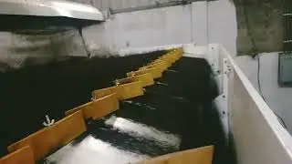 Graphite sieve within the sesame sieving plant