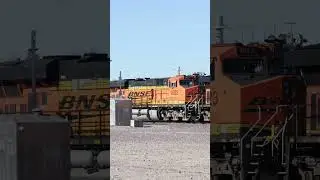 BNSF MANIFEST TRAIN BARRELING DOWN THE TRACKS #trainspotting #freight