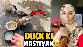 🔥Чоту Банда Или Дак Ки Мастиян😍😅| Гуламзахра | ЧотуГанг